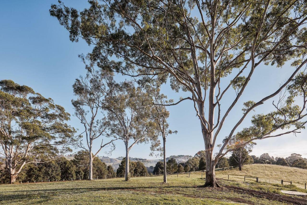 99 Acres Bangalow Retreat Extérieur photo